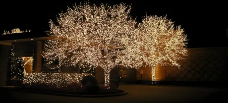christmas landscape lighting