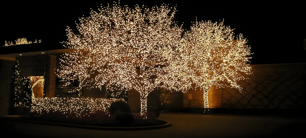 christmas landscape lighting