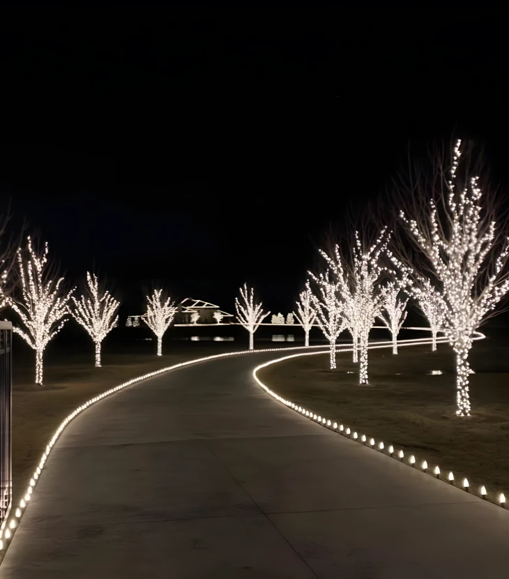 christmas landscape lighting