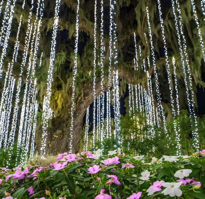 christmas landscape lighting