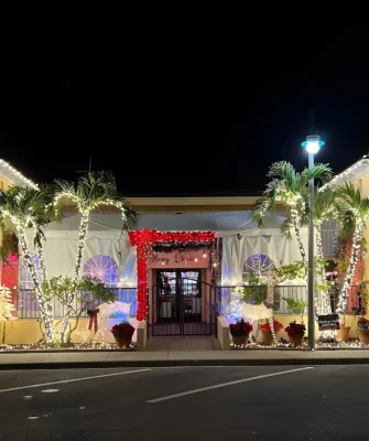 commercial christmas lighting