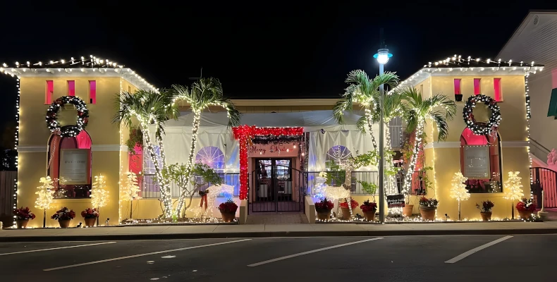 commercial christmas lighting