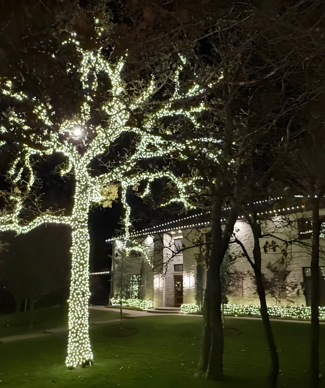 residential christmas lighting