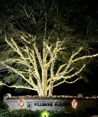 hoa christmas lighting