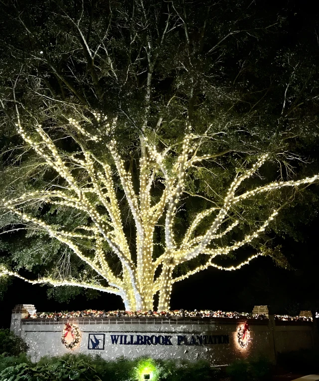 hoa christmas lighting