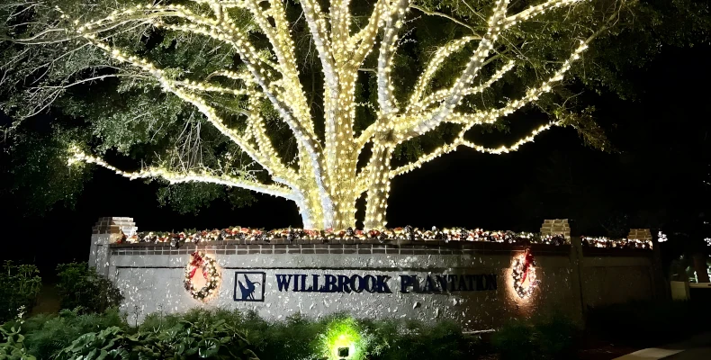 hoa christmas lighting