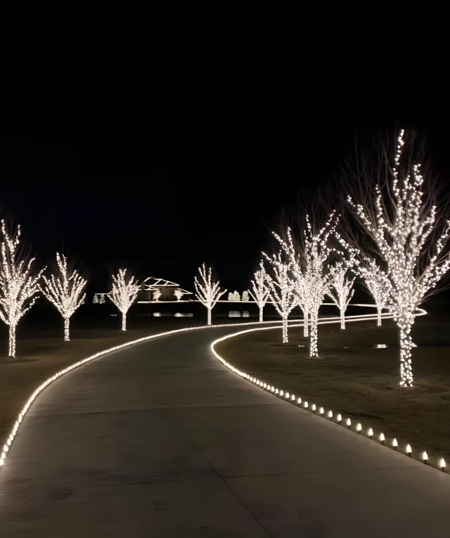 christmas landscape lighting