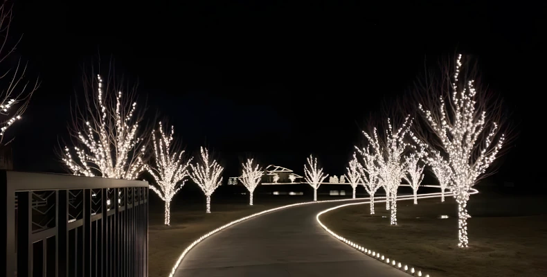 christmas landscape lighting